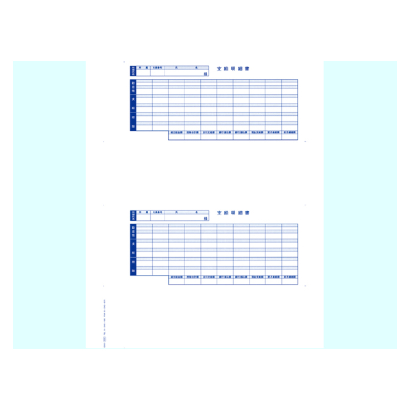 OBC 単票封筒用支給明細書 6202 300枚 F846900-6202