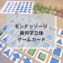 ☆モンテッソーリ☆幾何学立体ゲームカード