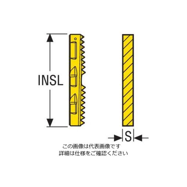 Seco Tools フライス ねじ切り用チップ R396.19