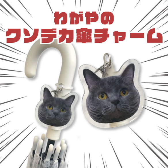 ペット 家族 オリジナルグッズ オーダーメイド わがや 子供 猫 犬 うちの子 グッズ NLFT-KUSODEKA-04