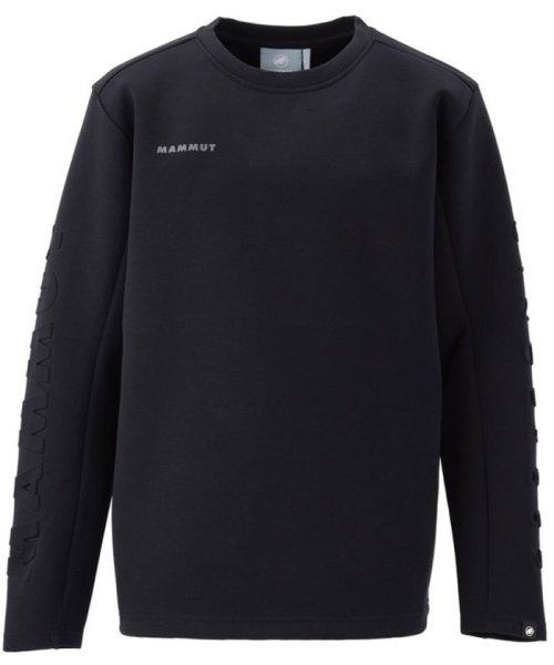 MAMMUT マムート アウトドア 長袖 トップス メンズ Dyno 2．0 ML Crew Neck AF 101404