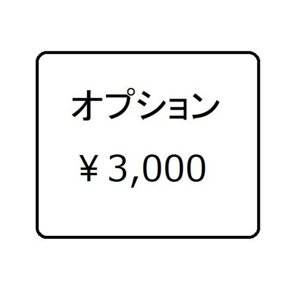 オプション　３０００円