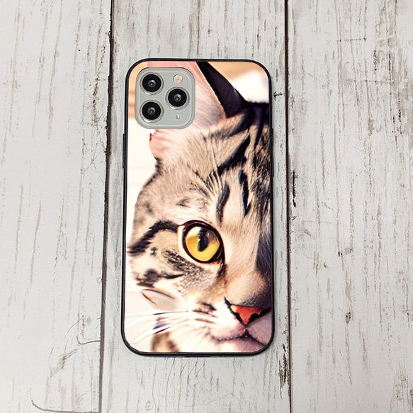 iphoneケース3-1-45 iphone 強化ガラス 猫・ねこ・ネコちゃん 箱18 かわいい アイフォン iface