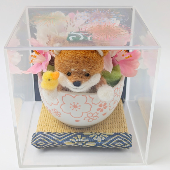 『花火でお茶わんこのミニインテリア　畳付き~柴犬と夜桜~』羊毛フェルト　お誕生日　お祝い　ペットのお悔やみ