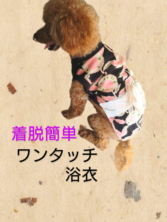 s 犬服 　ワンタッチ　浴衣　花柄　犬　 チワワ　ヨーキー　ブラック　ピンク