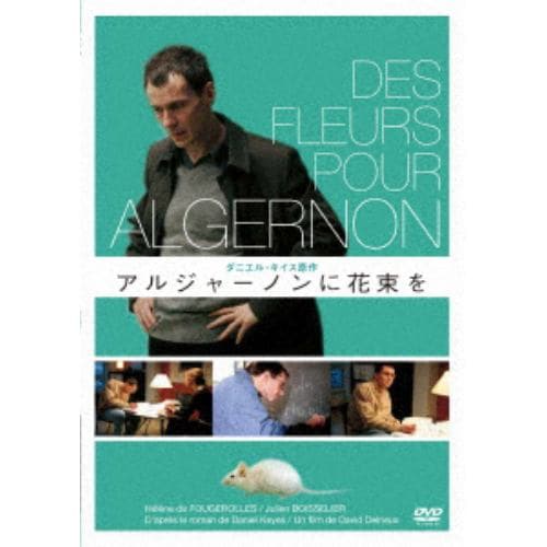 【DVD】アルジャーノンに花束を