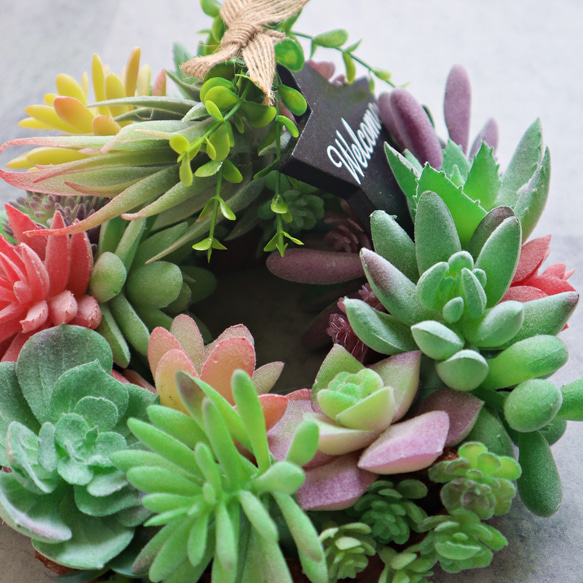 Succulent plants 多肉植物のグリーンリース ★20cm