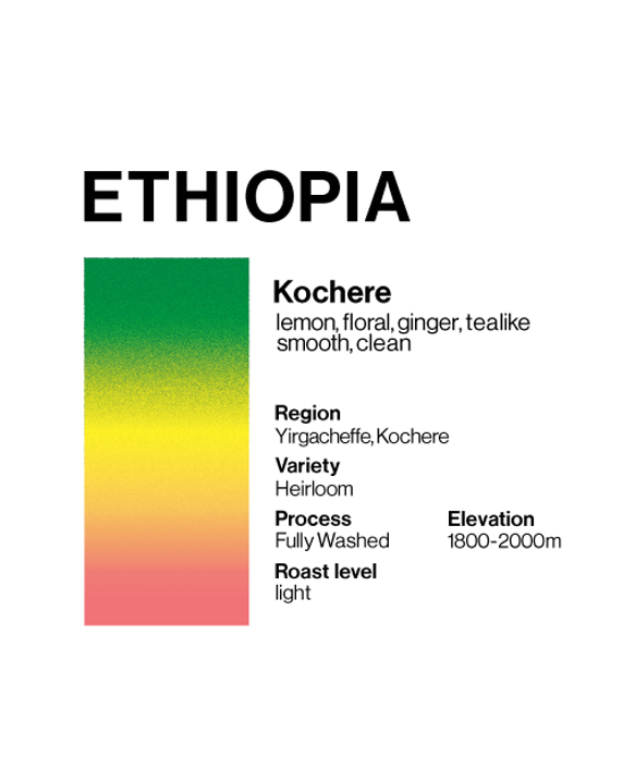 Ethiopia Kochere エチオピア コチェレ 100g 浅煎り