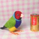 コキンチョウ 胡錦鳥 Gouldian Finch ライフサイズ♪羊毛ぬいぐるみ 羊毛フェルト 羊毛フィギュア 鳥のオブジェ リアルバード 受注制作