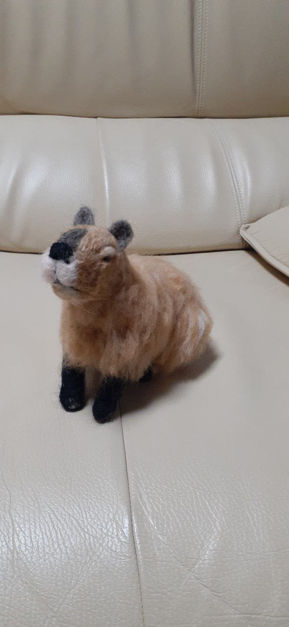 羊毛フェルト　カピバラちゃん　動物のオーダー受け付けてます