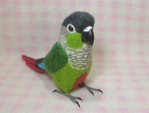 ほぼライフサイズ　ホオミドリアカオウロコインコ  Green-cheeked Parakeet 羊毛インコ 受注作成