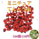 木製てんとう虫約100個