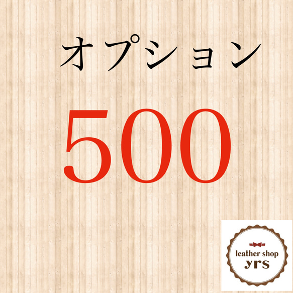 オプション 300