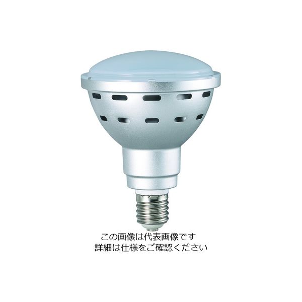 畑屋製作所 ハタヤ 45WLED電球 LDR45N-H110 1台(1個) 183-0295（直送品）