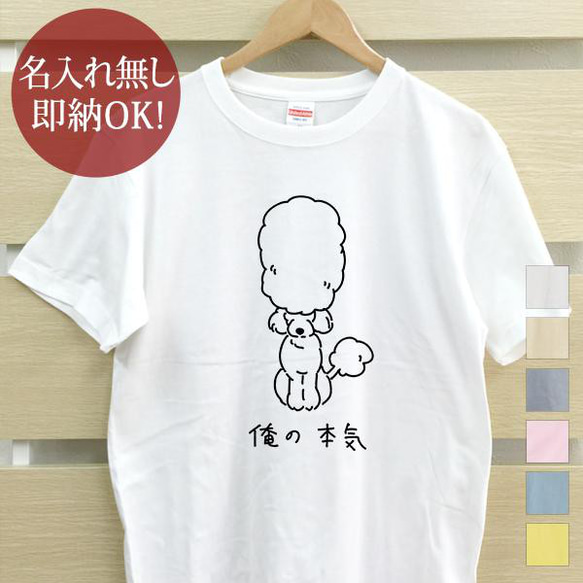 俺の本気 トイプードル 犬 レディース メンズ Tシャツ おもしろTシャツ 綿100% 選べるカラー7色 即納