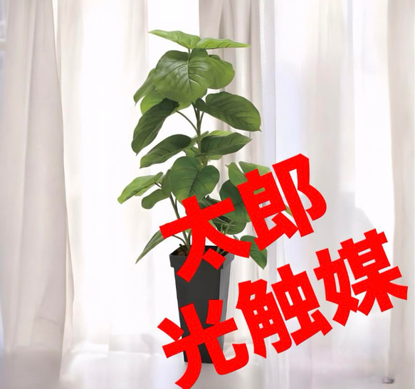 光触媒　人工観葉植物　フェイクグリーン　フレッシュDXスリムウンベラータ1.2m