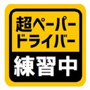 超ペーパードライバー練習中 カー マグネットステッカー