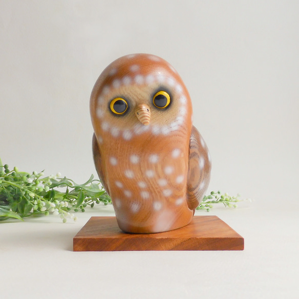 森に佇むフクロウ (★台付き)  flying owl / wood bird