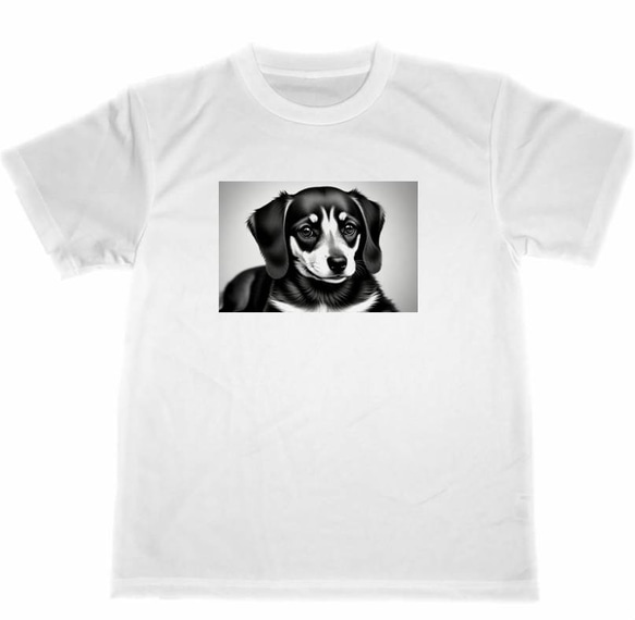 ダックスフンド ドライ Tシャツ ４ ダックスフント イヌ グッズ 犬 ミニチュアダックス イラスト リアル