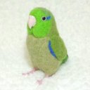 ライフサイズ♪ マメルリハ  グリーン ノーマル 緑  Pacific Parrot  　羊毛インコ　 鳥のオブジェ 　受注制作　オーダー可能　　工房小鳥屋さん