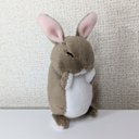 たちみみうさぎ　毛づくろい　ぬいぐるみ　ネザーランドドワーフ　チェスナット