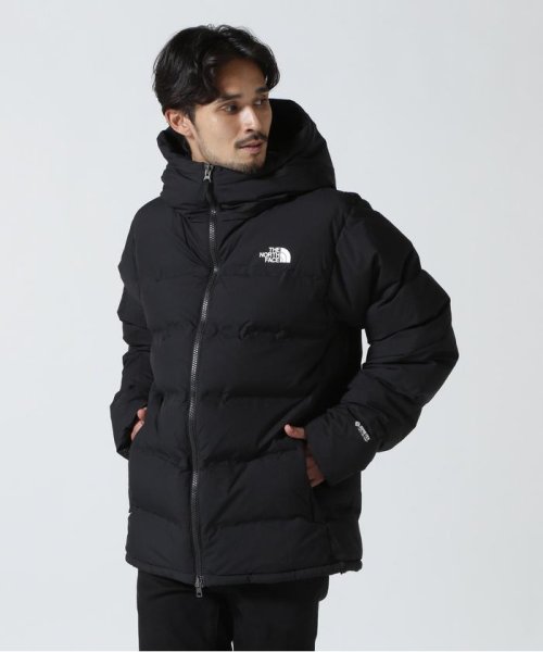 THE NORTH FACE/ザ・ノースフェイス  Belayer Parka