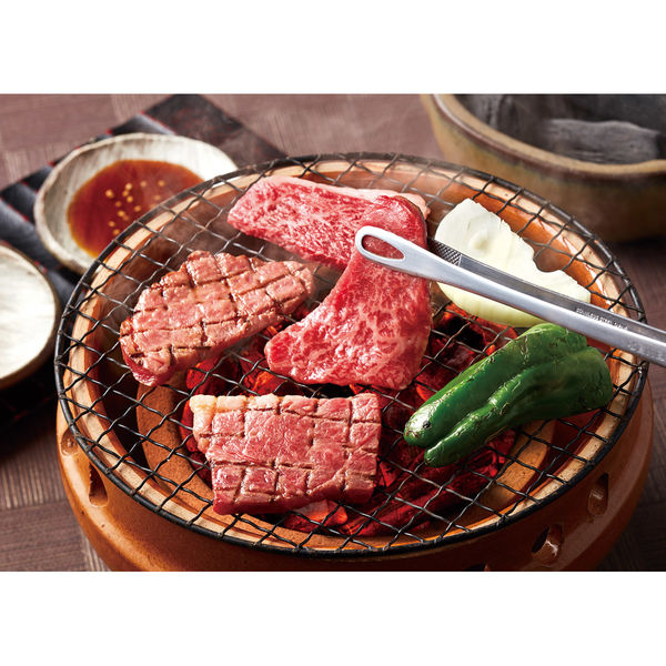 サニーフーズ 神戸牛 焼肉 SE-413 1セット（直送品）