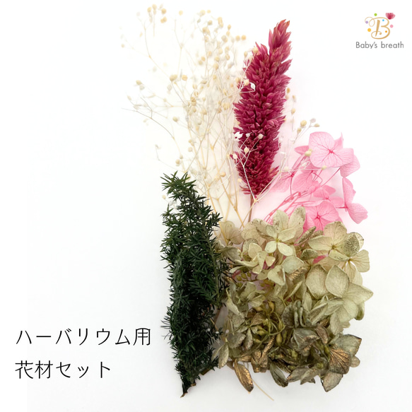 【 ハーバリウム 花材セット 】  ボタニカル キャンドル 少量  花材 レジン 材料 封入 素材 花素材 パーツ