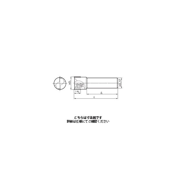 住友電工ハードメタル　SEC-ライトミル　FMS