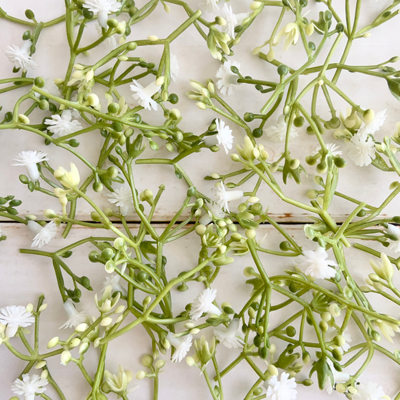 ちいさなかすみ草 ◌ 造花・花材・アーティフィシャルフラワー・パーツ