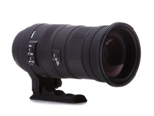 SIGMA 超望遠ズームレンズ APO 50-500mm F4.5-6.3 DG OS HSM キヤノン用 フルサイズ対応 738549【中古品】