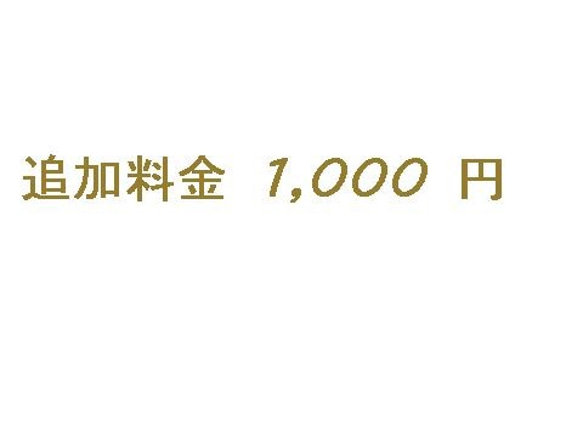 オーダー追加料金 1,000 円