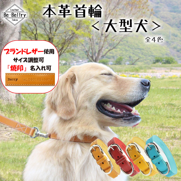 【送料無料】本革首輪〈大型犬〉レザー 幅２４ｍｍ　首回り～６０cm(長さ選択可) 青 赤 黄 キャメル 迷子 刻印名入れ