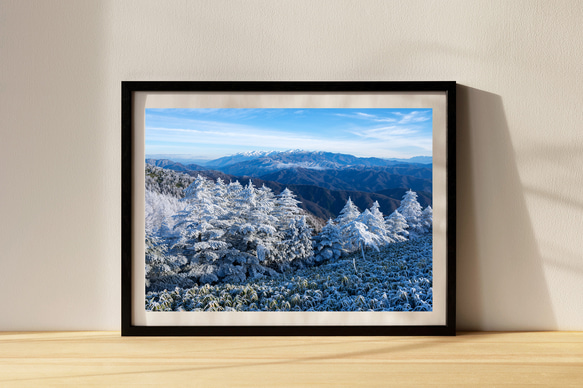 富士見台高原の霧氷と中央アルプスの山々　インテリアアートポスター　IVYL-129　山岳　雪　風景　信州　長野