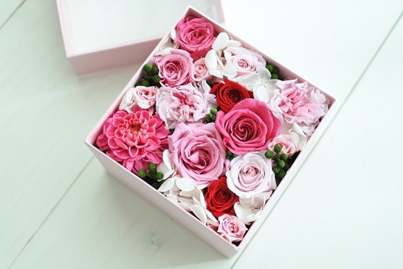 Rose mignon