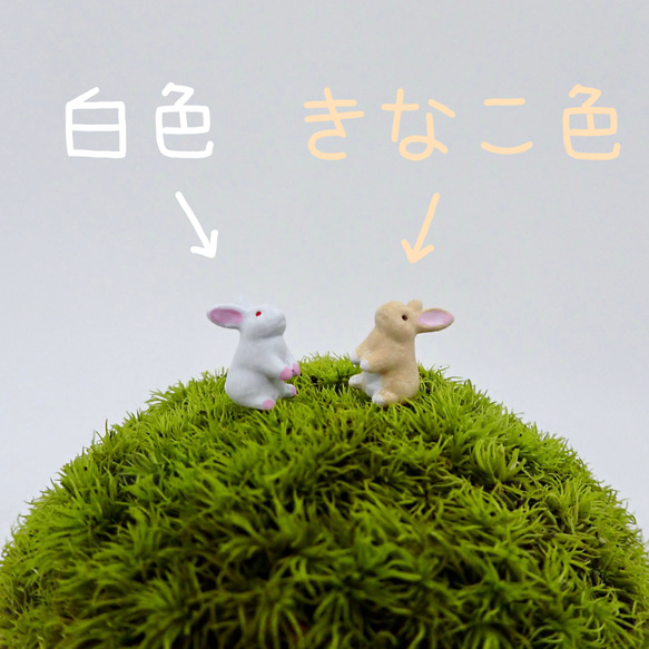 苔テラリウム用フィギュア『うさぎ』