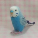 リアルサイズ♪ セキセイインコ オパ－リンスカイブル－  budgie 虎皮鸚鵡 羊毛フィギュア 羊毛フェルト 鳥のオブジェ リアルバード 受注制作