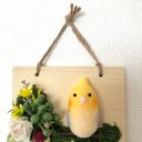 オカメインコ ちゃんのFlower board❣️