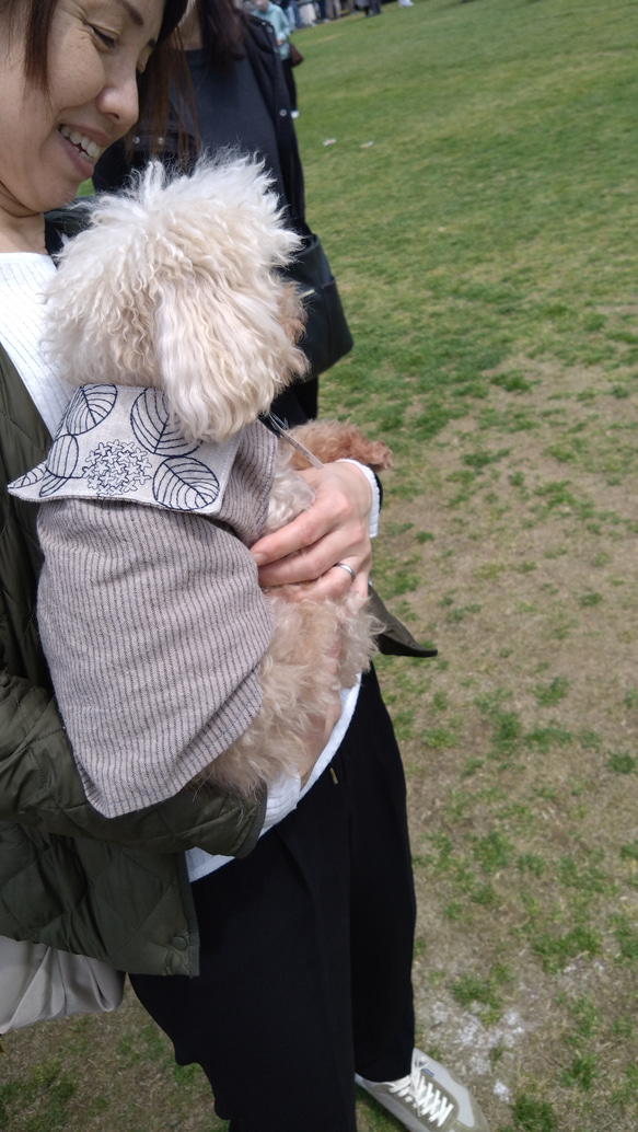 s 犬服  紫陽花柄　花柄　綿麻　コットンリネン　刺繍 犬　 チワワ　ヨーキー　セーラー服　ナチュラル