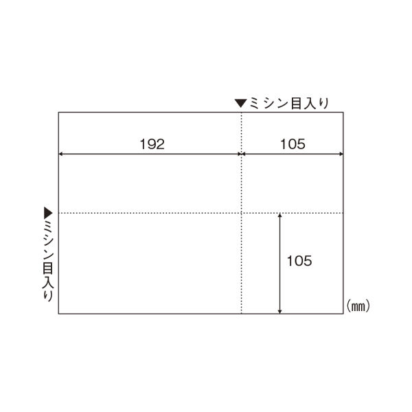 ヒサゴ Ａ４白紙　ＥＩＡＪ対応 BP2066Z 1箱（直送品）