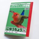 文庫型メモ帳　コザクラインコ学習帳（じゆうちょう）