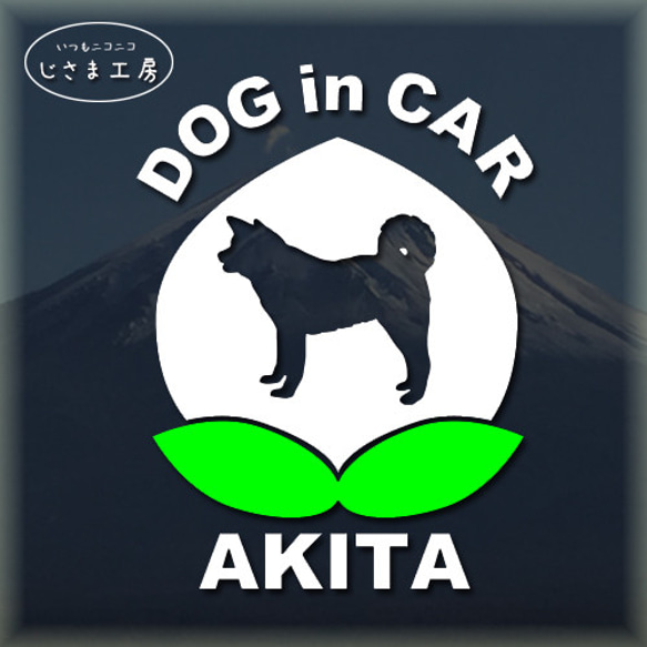 秋田犬のDOGinCAR　かわいい白い桃ちゃんステッカー。