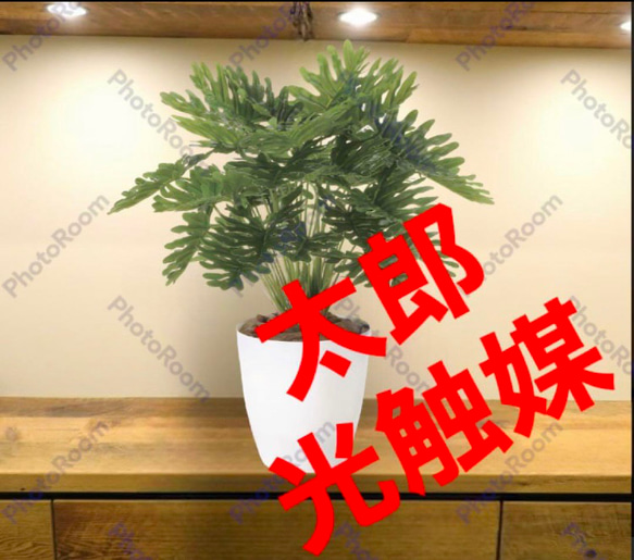 光触媒　人工観葉植物　ウォールグリーン　フェイクグリーン　フレッシュクッカバラm