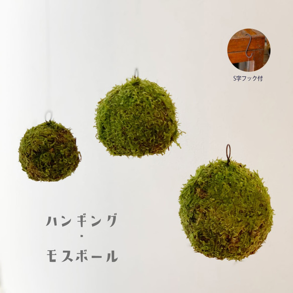 吊るしたり、置いたり。ふんわりとやさしい苔を飾ってください【MOSS BALL（モスボール）】3コセット