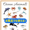 お風呂でも使える！海の生き物ポスター英語　モンテッソーリ