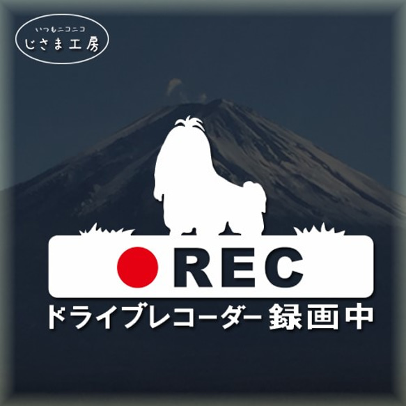 ちょんまげシーズーの白シルエットステッカー煽り運転防止!!ドライブレコーダー録画中