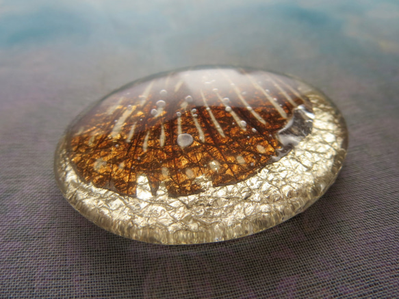 *♥*Butterfly Wing Cabochon Champagne Silver*♥*