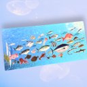 魚デザインポストカード（パノラマサイズ）