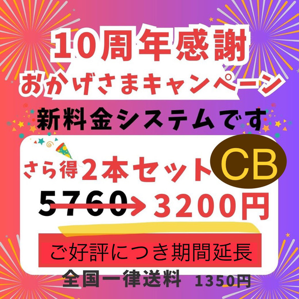 P10CB　ショコラとバナナセット【全国送料一律】