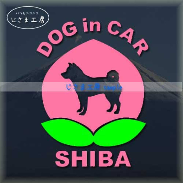 柴犬のDOGinCAR　かわいい桃ちゃんステッカー。